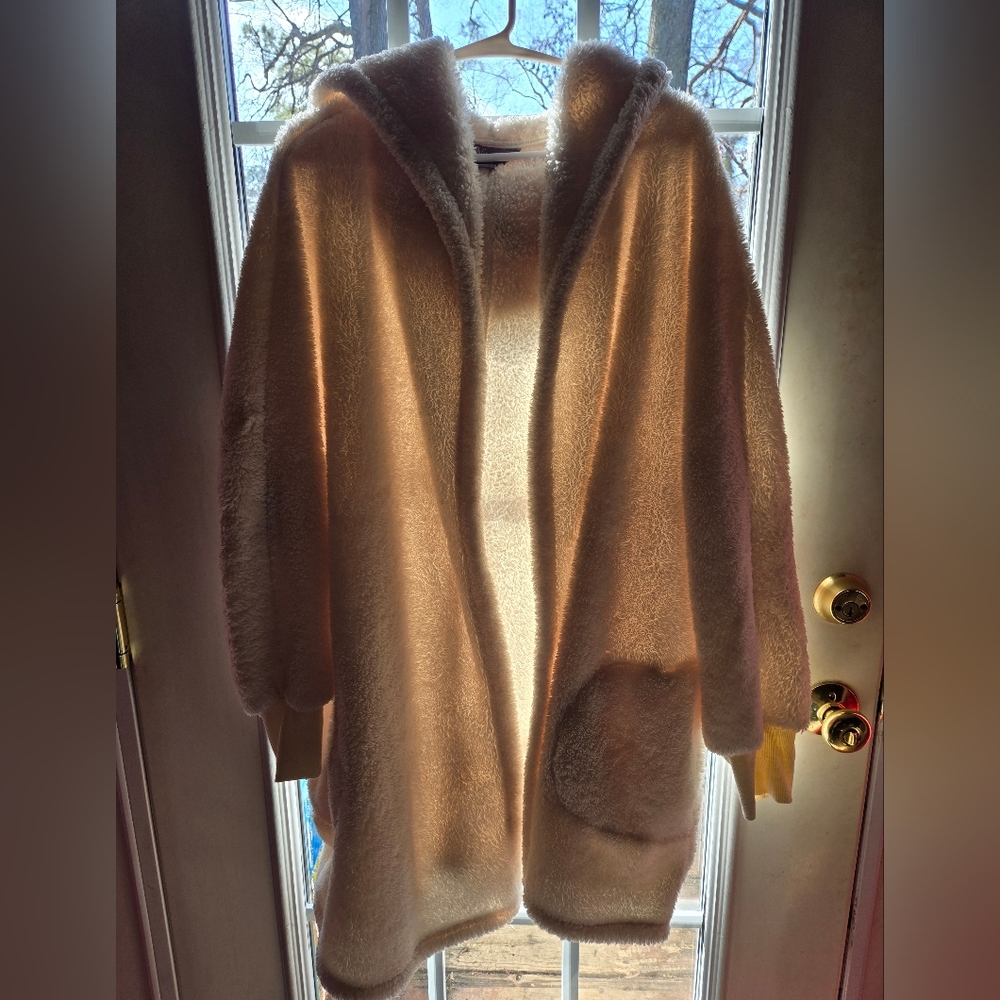 Cozy Cream Hooded Cardigan
